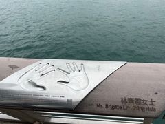 -星光大道