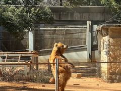 -昆明动物园