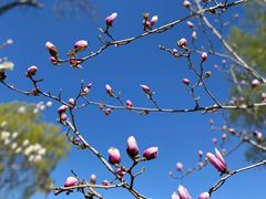 -孔乙己(后海店)