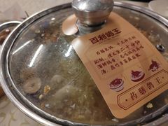 -百利鸽王(紫薇路店)