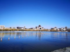 -莲花池公园