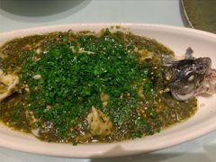烧椒鲈鱼-尘香•传统川菜(创汇首座店)