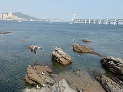 -大连国航大厦(星海广场店)