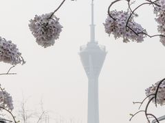 -红星桥(地铁站)