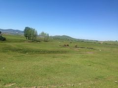 iphone_upload_pic-塞罕坝国家级自然保护区