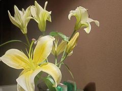 -和悦SPA·采耳(聚丰园路店)