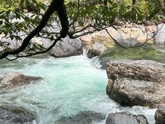 -石台牯牛降景区