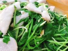 -菜当家