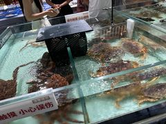 -胖东来生活广场(健康路店)