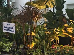 -河内内排国际机场