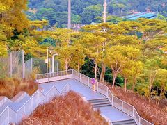-白石龙音乐公园