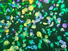 -珠海长隆海洋王国