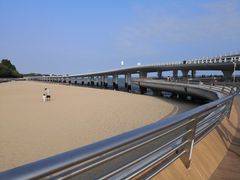 -演武大桥观景平台