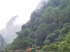 -青峰峡国家森林公园