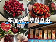 -海德温泉生活馆(朝阳大悦城店)