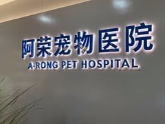 -阿荣24H宠物医院·综合型转诊中心·CT·核磁影像中心
