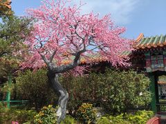 -珠海圆明新园