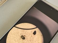 -瑞派福兴宠物医院犬猫全科·骨科·中西医结合(河东店)