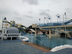 -秦皇岛乐岛海洋王国