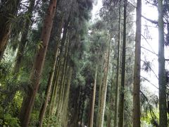 -青城山