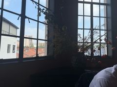 -滇野云南野生菌餐厅(陕西南路店)