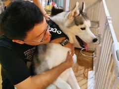 -Husky Go! 哈士奇体验馆·宠物咖啡厅狗咖