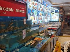 -添福来墨鱼饺子 · 海鲜东北菜(大连星海·黄浦路店)