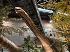 -湖南省地质博物馆