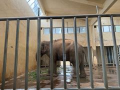 -石家庄市动物园