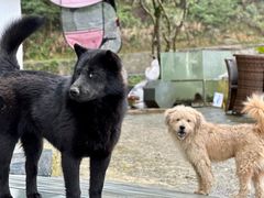 -龙脊梯田