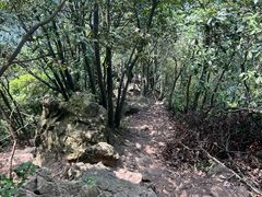 -午潮山国家森林公园