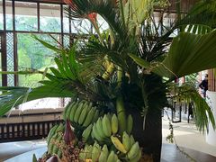 -七仙岭君澜度假酒店