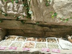 -郑庄脂渣海鲜楼(九水路店)