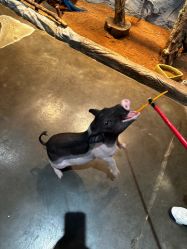 -Zoolung Zoolung动物主题公园(海信广场店)