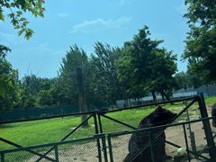-秦皇岛野生动物园
