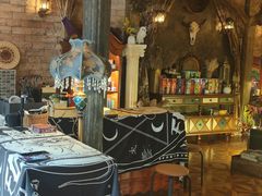 -雪灵魔法世界SHELLY’S TAROT(大良桂畔里店)
