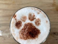 -猫小院猫主题咖啡厅(北锣店)