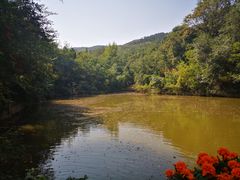 -井塘古村