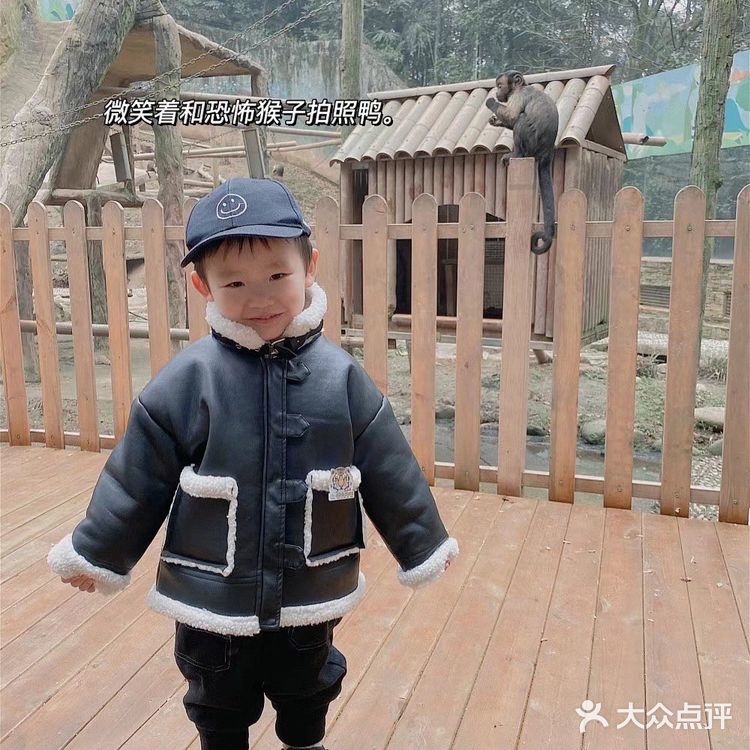 成都周边可投食老虎的超大野生动物世界