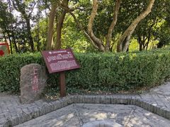 -上海佘山国家森林公园天马山园