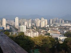 -金鸡山公园