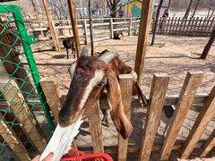 -水上乐园·欢乐世界