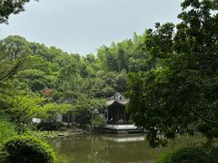 -汇龙潭