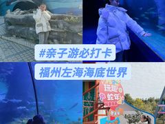 -左海海底世界