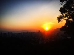 -金鸡山公园