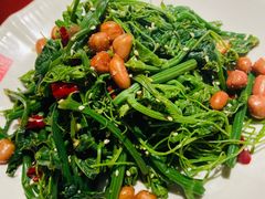 凉拌丝瓜尖-潇湘甲鱼村(清河店)