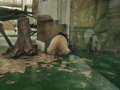 -成都动物园