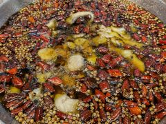 -雲蜀龙阁·金牌水煮鱼(方庄店)