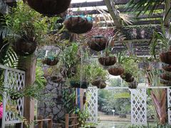 -华南国家植物园-售票处