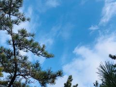 -崂山巨峰游览区